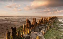 Lichtjesavond Bonifatiuskapel 21-11-2025